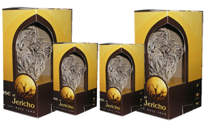 FOUR ROSE OF JERICHO