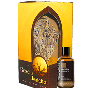 Big rose of Jericho + Myrrh Oil