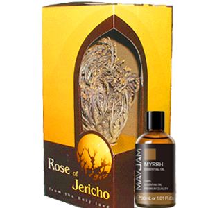 Big rose of Jericho + Myrrh Oil